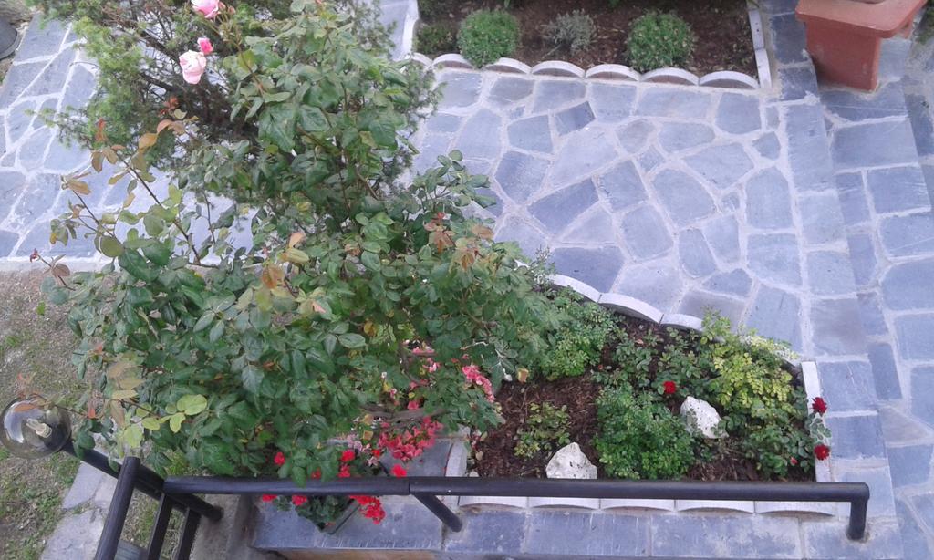Villa C&C Lierna Εξωτερικό φωτογραφία